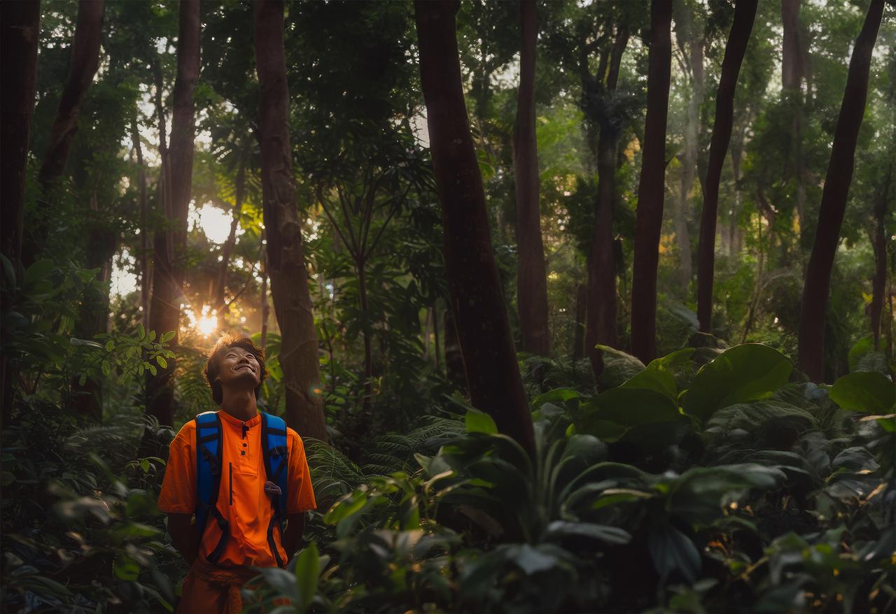 A man wearing orange hiking gear looking up at a forest, many plants and trees surrounding him.jpg